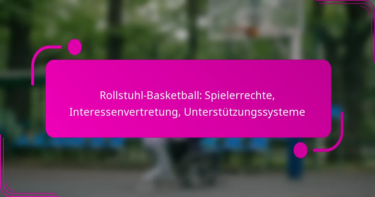 Rollstuhl-Basketball: Spielerrechte, Interessenvertretung, Unterstützungssysteme