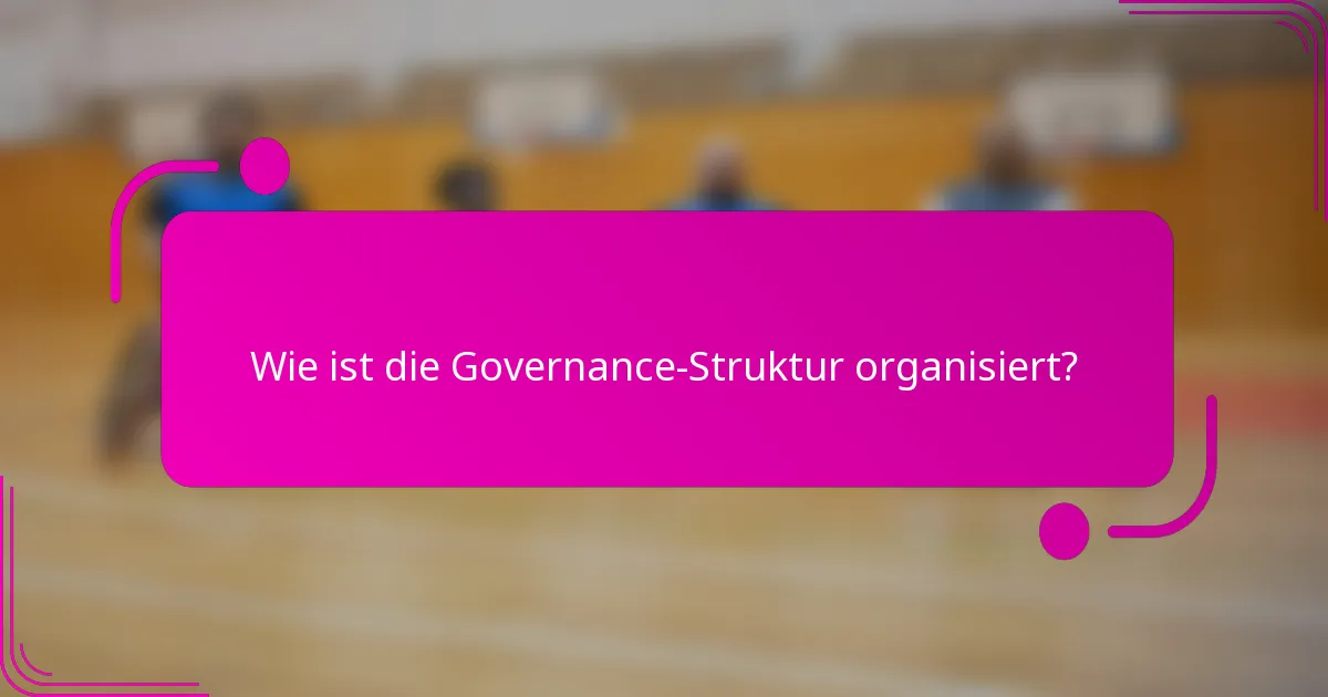 Wie ist die Governance-Struktur organisiert?